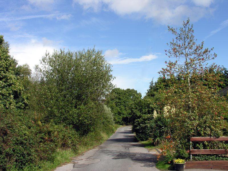 Abacus Bed And Breakfast, Blackwater, Hampshire Camberley Exteriér fotografie